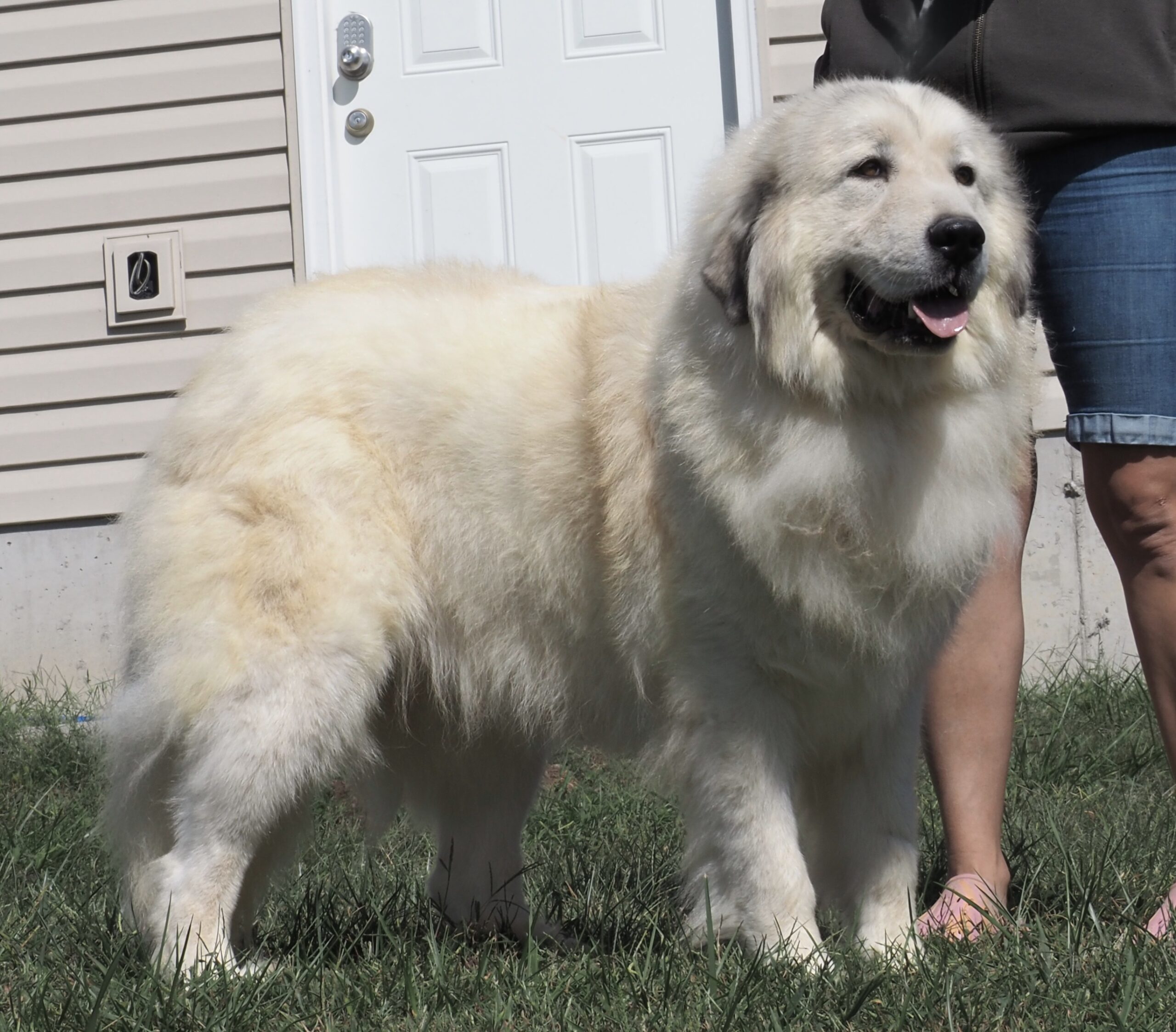 Ella (11)