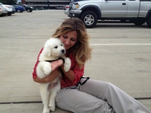 pyrenees-puppy-airport